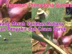 IMG-20240507-WA0003